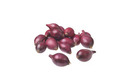 Stikløg - rødløg 'Red Baron' 250 g